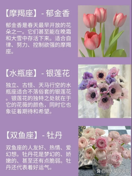 梦到花死了_寓意是什么