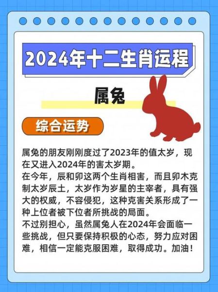 属兔2024年运势如何_属兔2025年运势详解