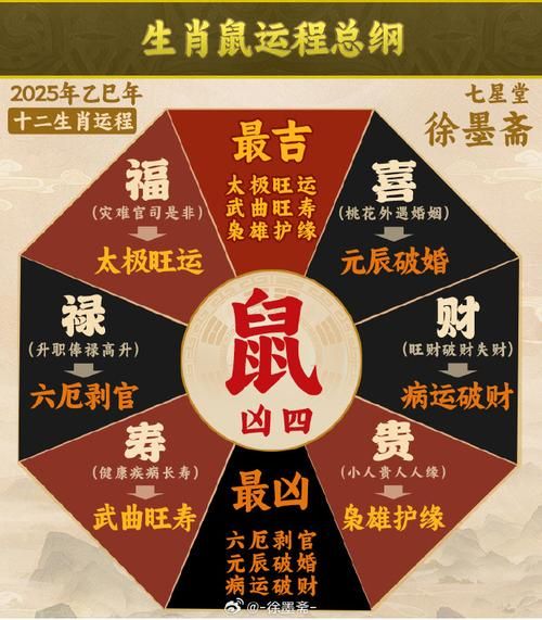 火鼠财运_火鼠2024年财运如何