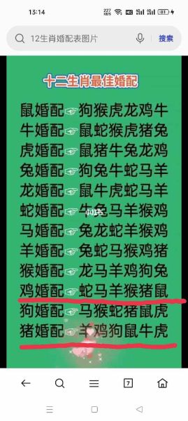 男鸡属相婚配表大全_属鸡男最佳婚配属相
