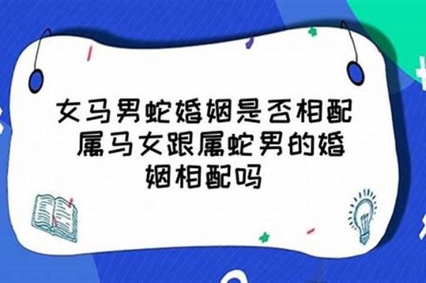 属蛇和属马合不合_蛇马婚配优缺点