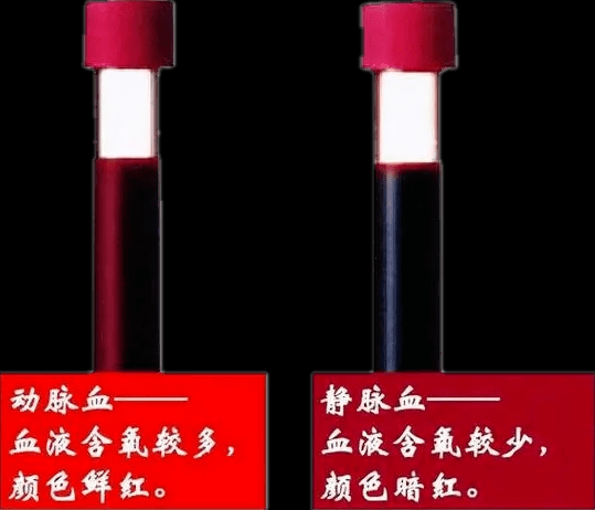 梦到自己血管破了喷血_是什么预兆