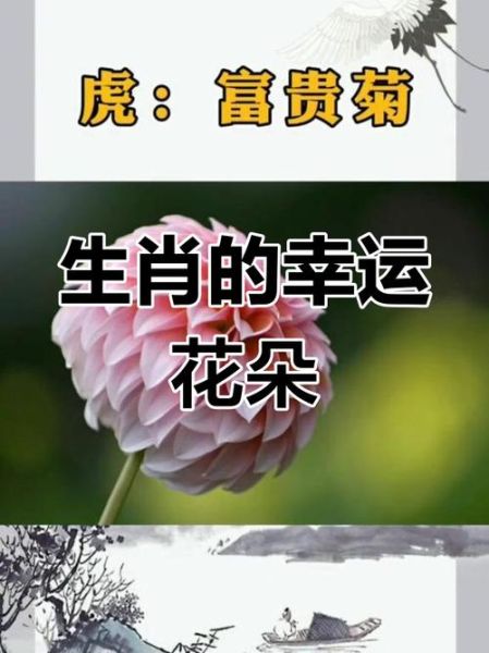 属相花方向_生肖对应花方位怎么摆
