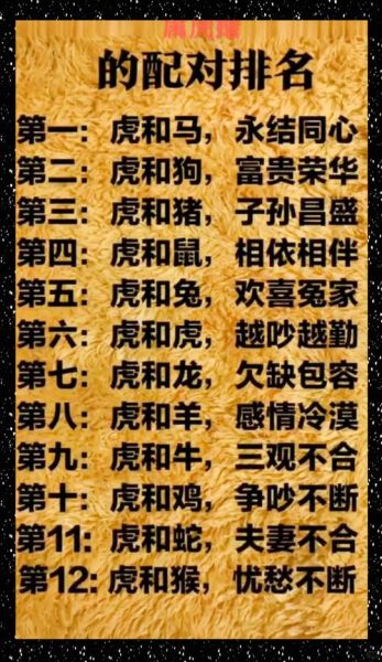 虎和狗属相合不合_婚姻事业财运全面解析