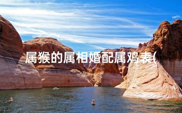 属猴和属鸡的婚姻如何_属猴和属鸡合不合