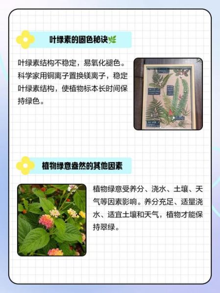 梦到变绿是什么意思_梦到变绿预示什么