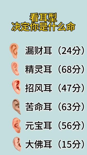 耳朵决定财运吗_耳朵形状与财富关系