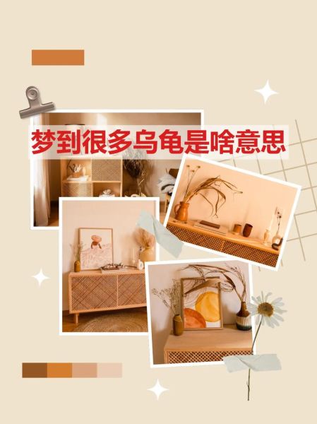 梦见大乌龟是什么意思_大乌龟梦境解析