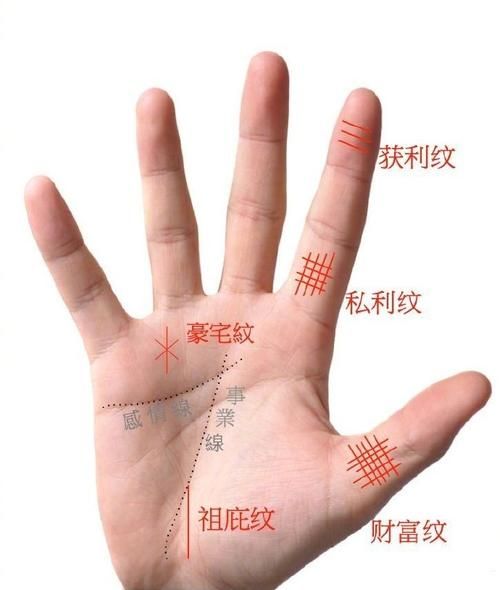 掌纹财运图怎么看_掌纹财运线在哪
