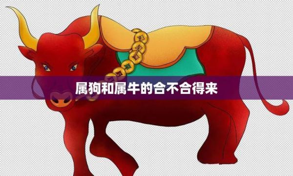 属狗和属牛合不合_狗牛相冲还是相合