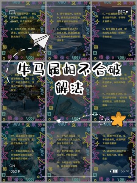 哪些属相不和_属相相冲怎么化解