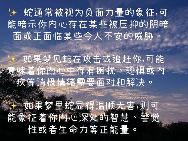 梦到蛇钻进下体是什么意思_梦见蛇钻入身体代表什么