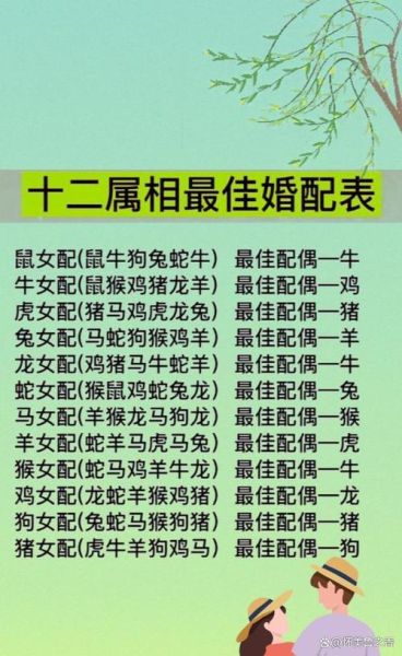 女鼠最配属相_女鼠和什么属相最合