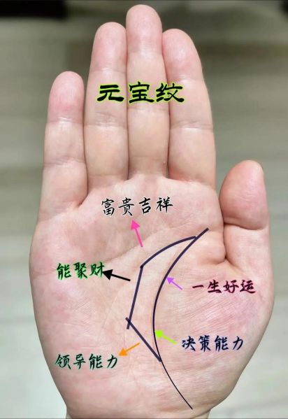 财运线怎么看_财运线真的准吗
