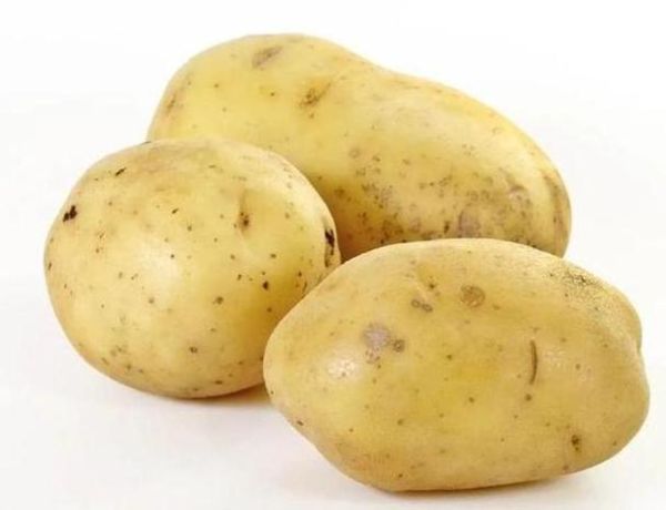 梦到很多土豆是什么意思_梦见成堆土豆预示什么