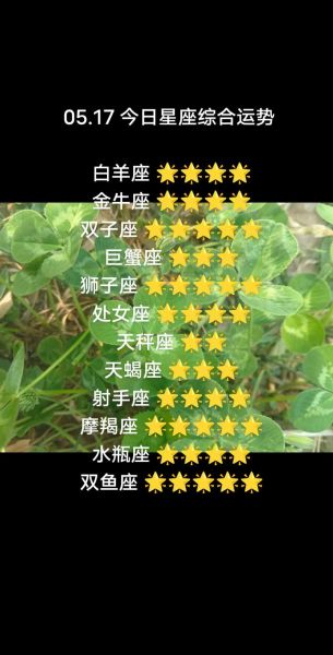 2017年运势最好的星座有哪些_哪些星座在2017年最走运