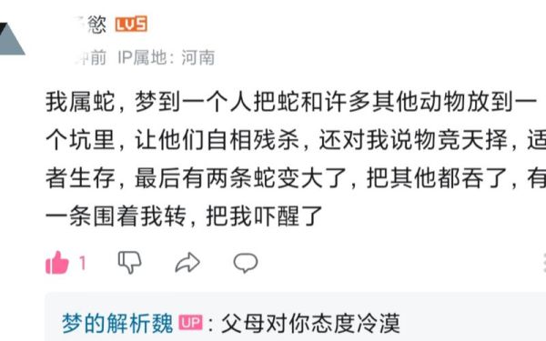 梦到2条蛇是什么意思_梦见两条蛇的预兆