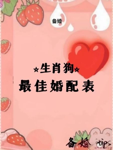 女狗配什么属相_属狗女最佳婚配生肖