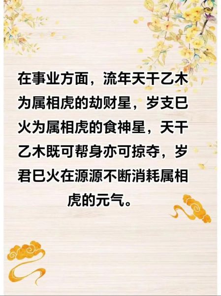 属虎的运气和财运如何_2024年运势详解