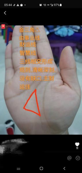 成功线财运_如何看手相财富线