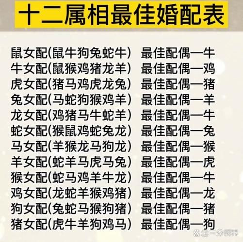 什么属相最配_十二生肖最佳婚配组合