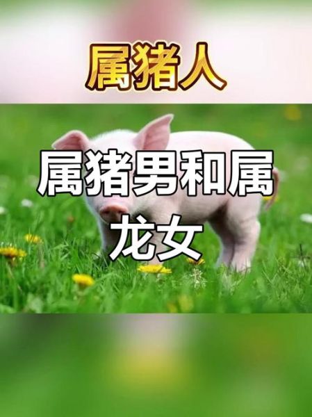 猪男最欣赏哪个属相女_生肖猪男最佳婚配