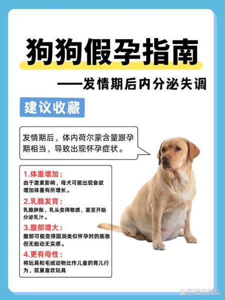 孕妇梦到养狗是什么意思_孕期梦见狗预示什么