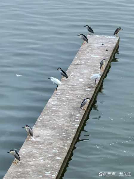 梦到堤坝是什么意思_梦到堤坝预示着什么