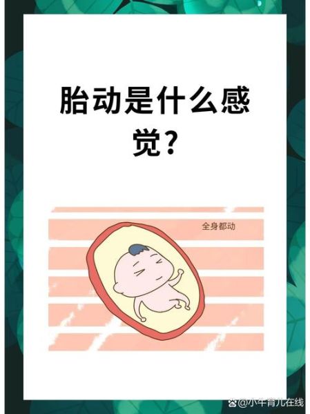 梦到怀孕胎动是什么意思_孕妇梦见胎动预示什么