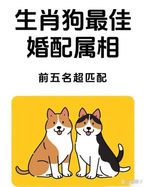 属狗的和什么属相相合_属狗婚配最佳属相