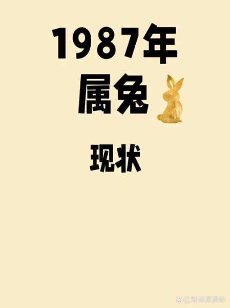 1987年出生2024年运势_属兔人今年财运如何