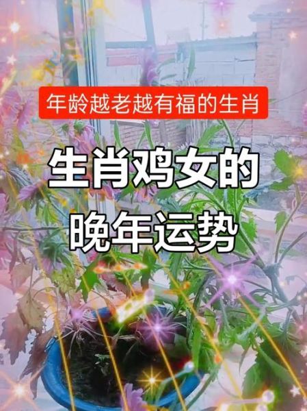 属鸡找什么属相伴娘_属鸡伴娘属相禁忌