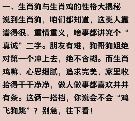 狗和鸡属相合不合_婚姻财运如何