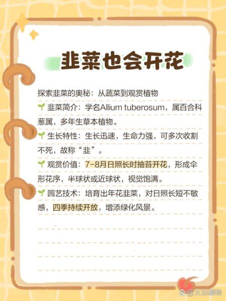 孕妇梦到韭菜花是什么意思_孕妇梦见韭菜花生男生女