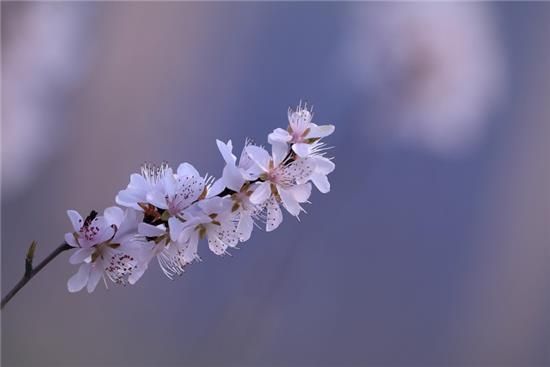 梦到朋友反目_意味着什么