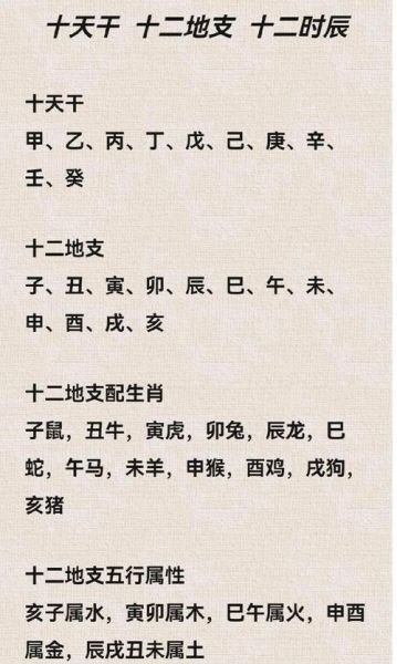 属鼠未来十年运势_如何转运