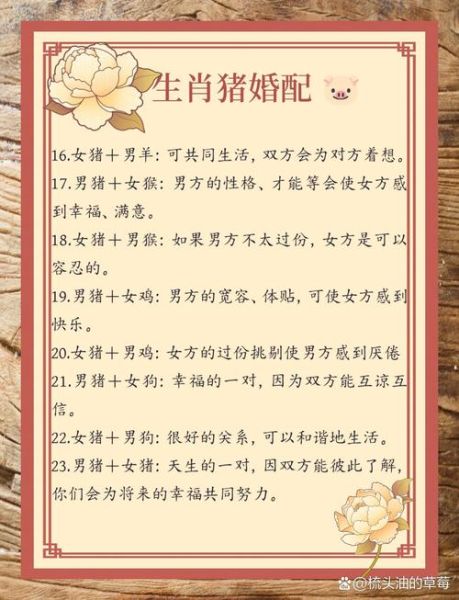 属猪忌配什么属相_属猪最忌婚配生肖