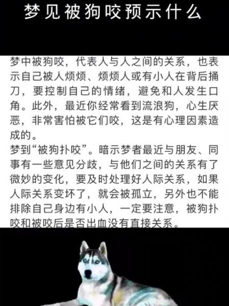 梦到狗着火是什么意思_梦见狗被火烧预示什么