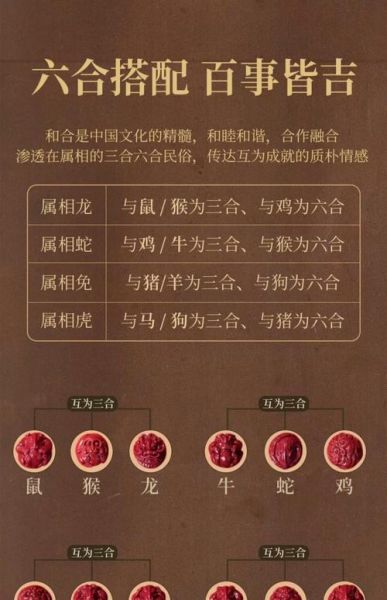 属龙的三合属相是什么_龙的三合贵人有哪些