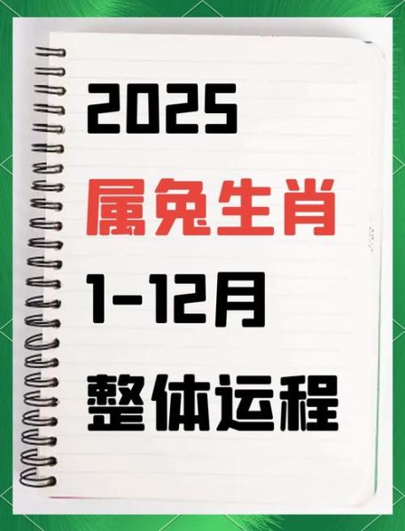 属兔2025年财运如何_属兔明年财运旺不旺