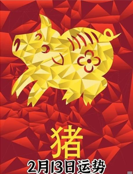 49属猪今年财运_如何提升偏财运