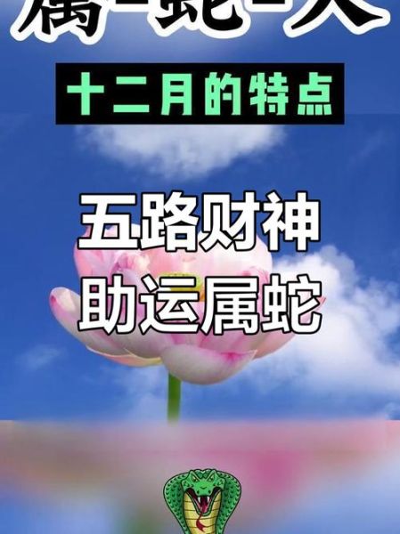 2015属蛇运势如何_属蛇2015年财运怎么样