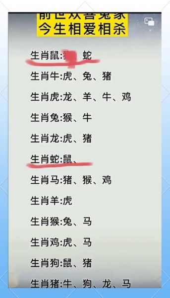 属鼠和属蛇最配吗_属鼠与属蛇婚姻如何