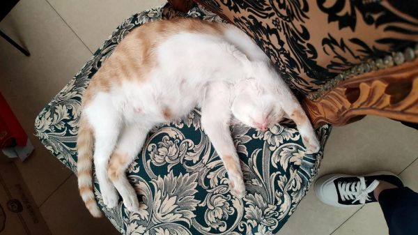 睡姿会影响财运吗_如何调整睡姿招财