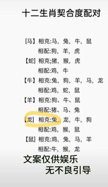 虎兔龙合不合_属相婚配靠谱吗