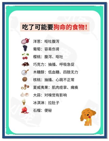 属相忌吃_哪些食物不能碰