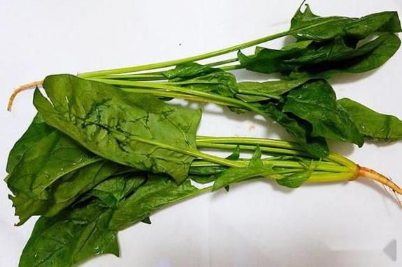 梦到捡青菜是什么意思_梦见捡青菜好不好