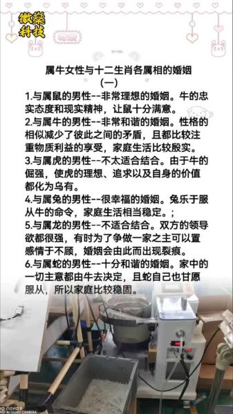 女属牛最佳婚配属相_属牛女婚姻配对禁忌