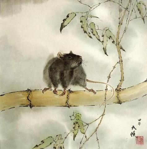 降温的属相有哪些_2024年犯寒的生肖怎么化解