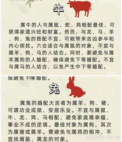 牛与兔要什么属相宝宝_最佳生育年份